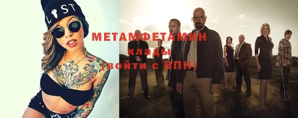 шишки Белокуриха