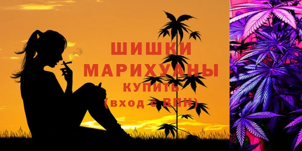 мдма Богородицк