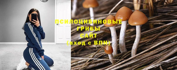 альфа пвп Беломорск
