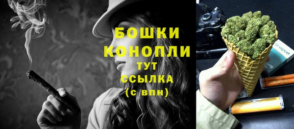 шишки Белокуриха