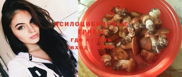 шишки Белокуриха