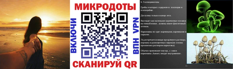 Галлюциногенные грибы мухоморы  Няндома 